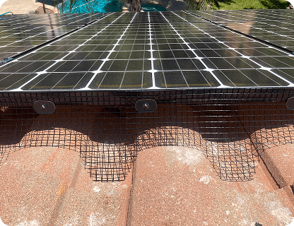 Placeholder Image (7)