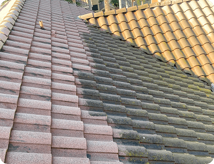 Placeholder Image (8)