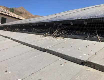 A visual representation of debris collected in a roof gutter.