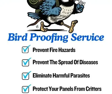 Pristine Clean Bird Proofing Service with warranty details