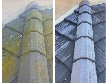 efore and after cleaning of a roof showing significant improvement in cleanliness.
