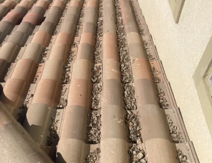 Roof tiles with accumulated dirt and debris, highlighting maintenance needs